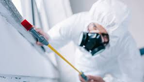 Best Fumigation Services  in Sunrise, FL